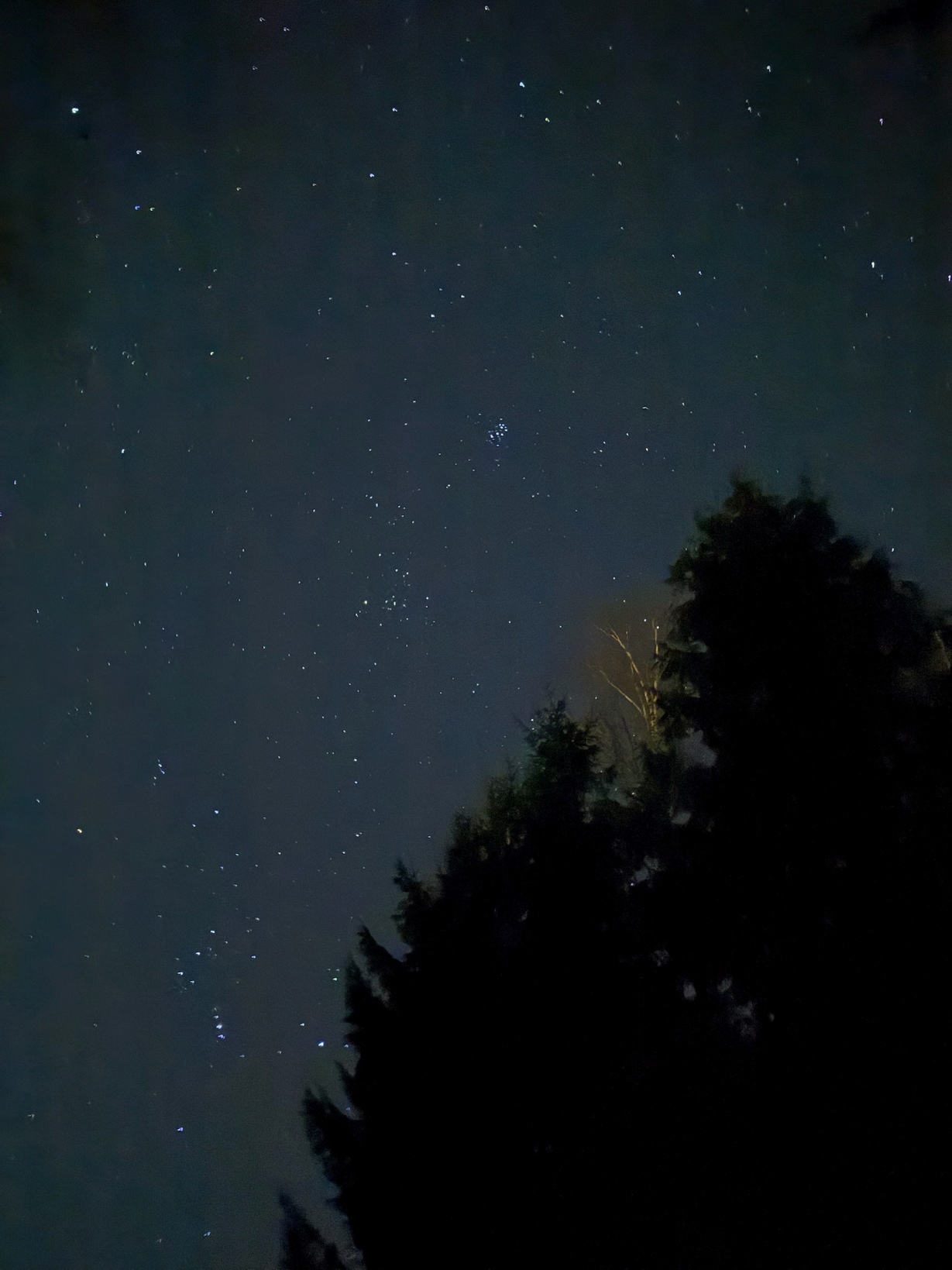 Post-973 Thumbnail Image